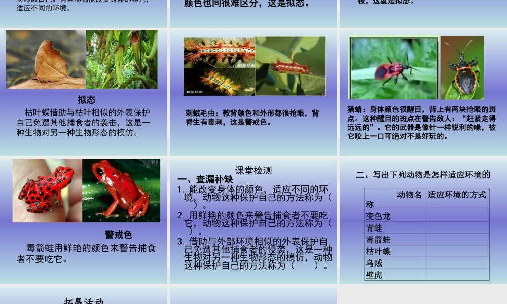 青岛小学科学四下《16 变色龙》PPT课件 (9).ppt