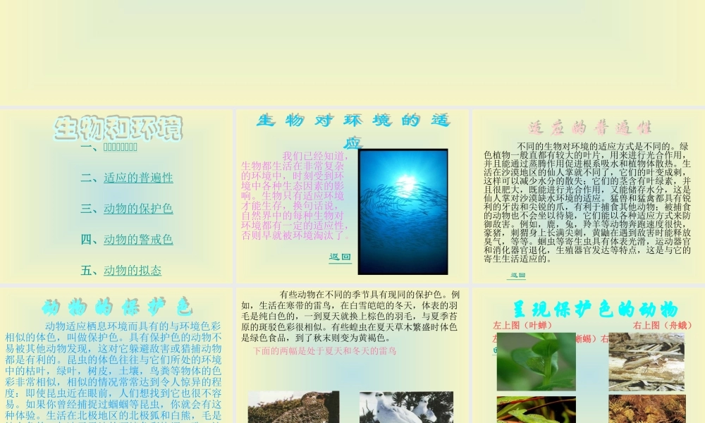 青岛小学科学四下《16 变色龙》PPT课件 (7).ppt