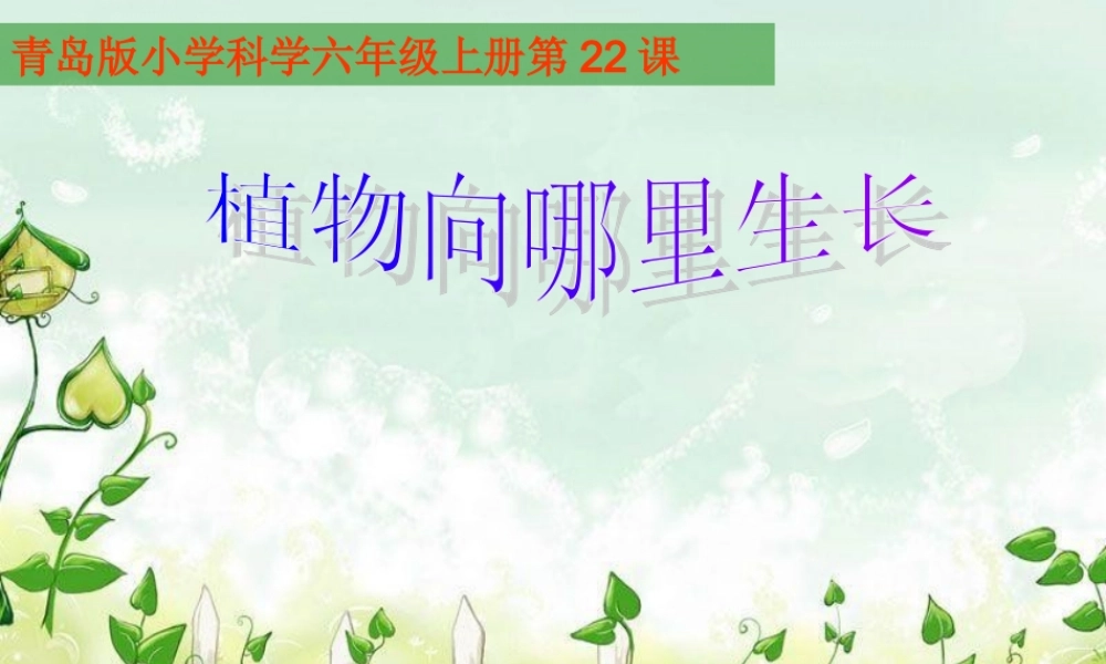 青岛小学科学四下《17 植物向哪里长》PPT课件 (2).ppt