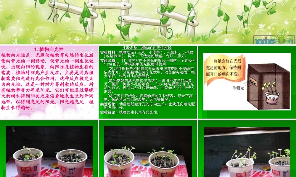青岛小学科学四下《17 植物向哪里长》PPT课件 (2).ppt