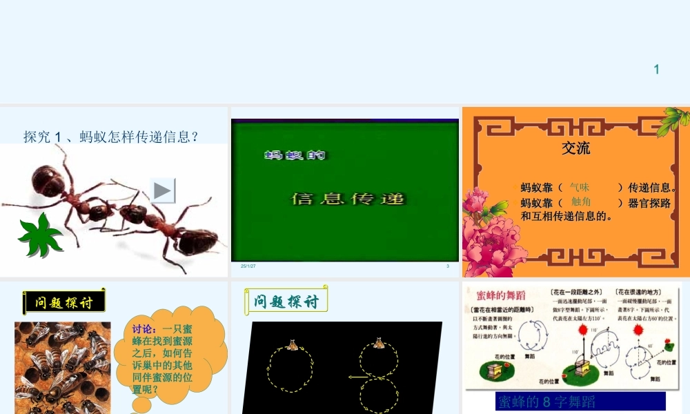 青岛小学科学四下《18 生物与信息》PPT课件 .ppt