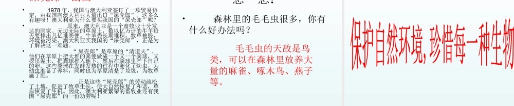 青岛小学科学四下《19 密切联系的生物界》PPT课件 (15).ppt