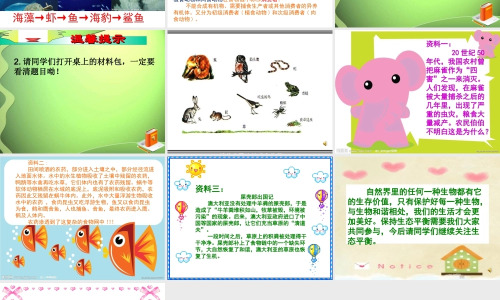 青岛小学科学四下《19 密切联系的生物界》PPT课件 (11).ppt