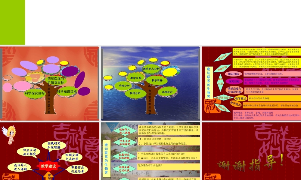 青岛小学科学四下《19 密切联系的生物界》PPT课件 (12).ppt