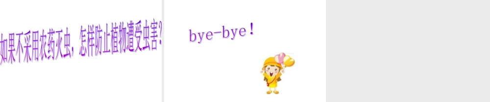 青岛小学科学四下《19 密切联系的生物界》PPT课件 (3).ppt