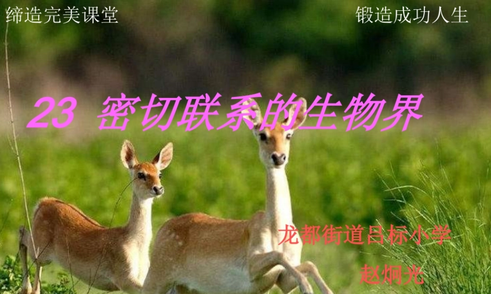 青岛小学科学四下《19 密切联系的生物界》PPT课件 (2).ppt