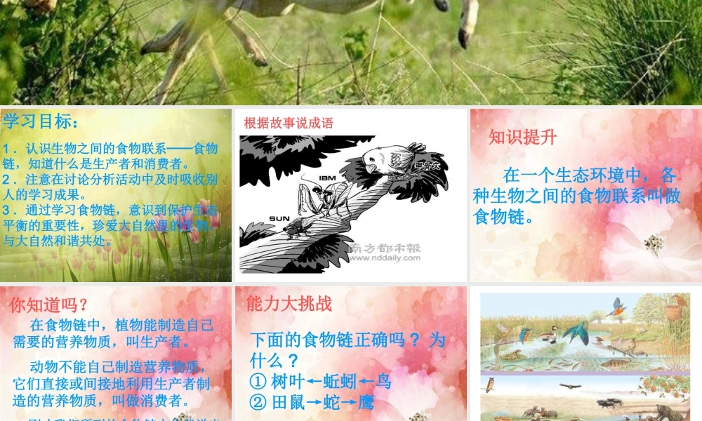 青岛小学科学四下《19 密切联系的生物界》PPT课件 (2).ppt