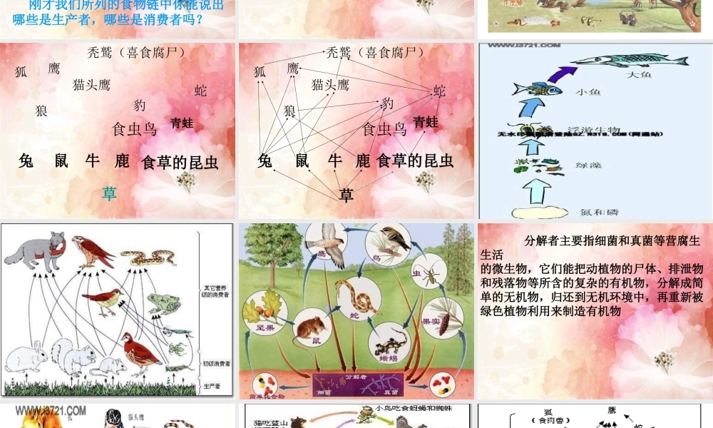 青岛小学科学四下《19 密切联系的生物界》PPT课件 (2).ppt