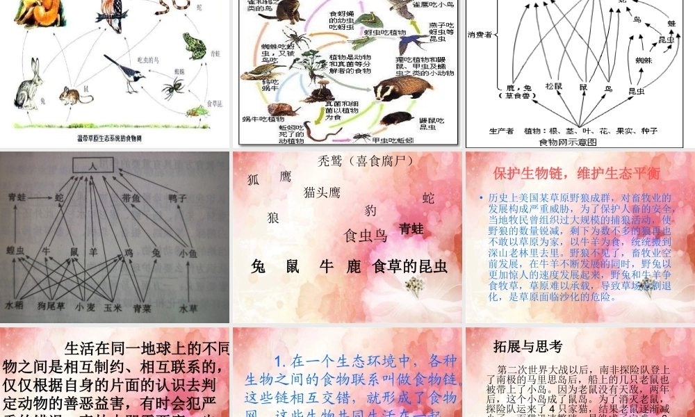 青岛小学科学四下《19 密切联系的生物界》PPT课件 (2).ppt