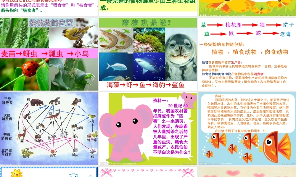 青岛小学科学四下《19 密切联系的生物界》PPT课件 (13).ppt