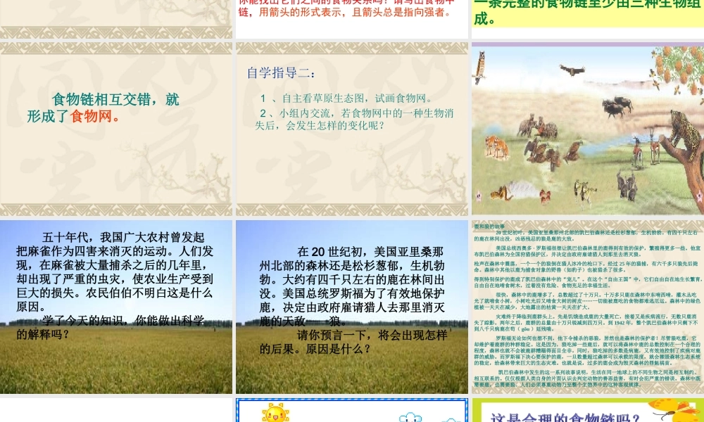 青岛小学科学四下《19 密切联系的生物界》PPT课件 (17).ppt