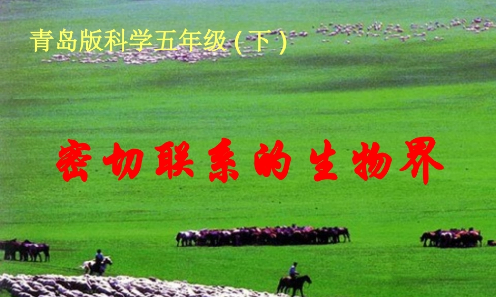 青岛小学科学四下《19 密切联系的生物界》PPT课件 (9).ppt