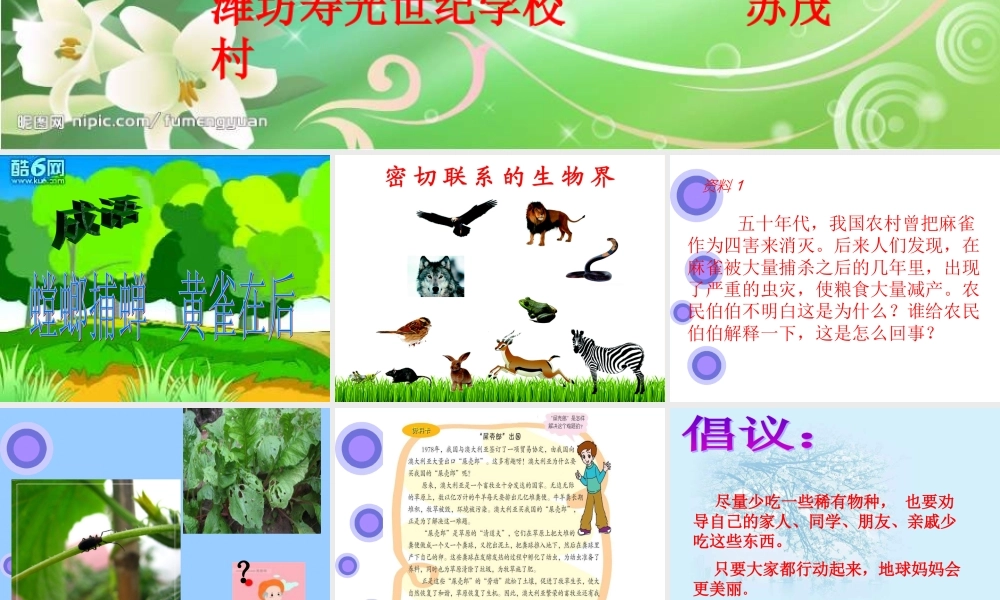 青岛小学科学四下《19 密切联系的生物界》PPT课件 (5).ppt