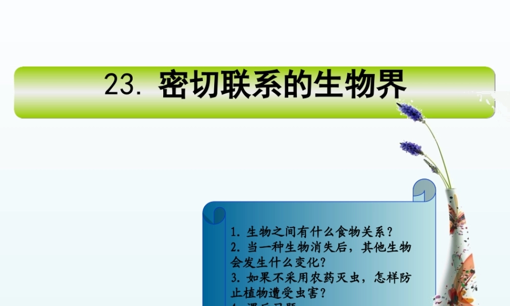 青岛小学科学四下《19 密切联系的生物界》PPT课件 (6).ppt