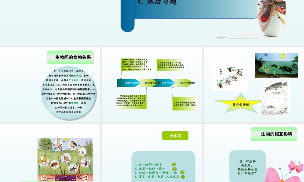 青岛小学科学四下《19 密切联系的生物界》PPT课件 (6).ppt