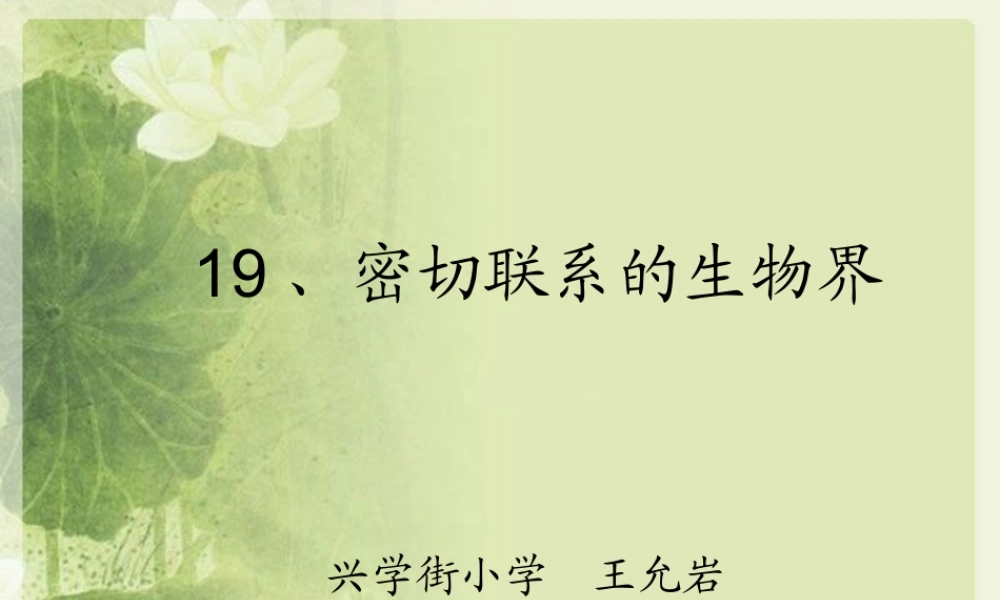 青岛小学科学四下《19 密切联系的生物界》PPT课件 (4).ppt