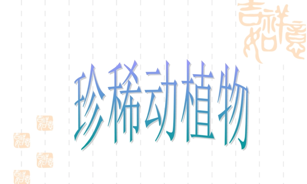 青岛小学科学四下《20 珍稀动植物》PPT课件 (11).ppt