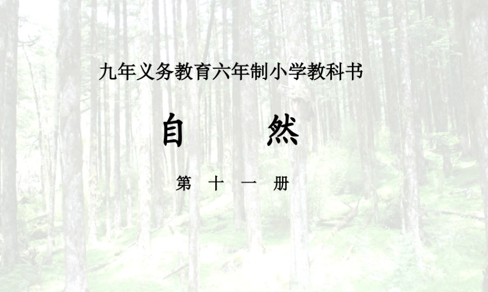 青岛小学科学四下《20 珍稀动植物》PPT课件 (1).ppt