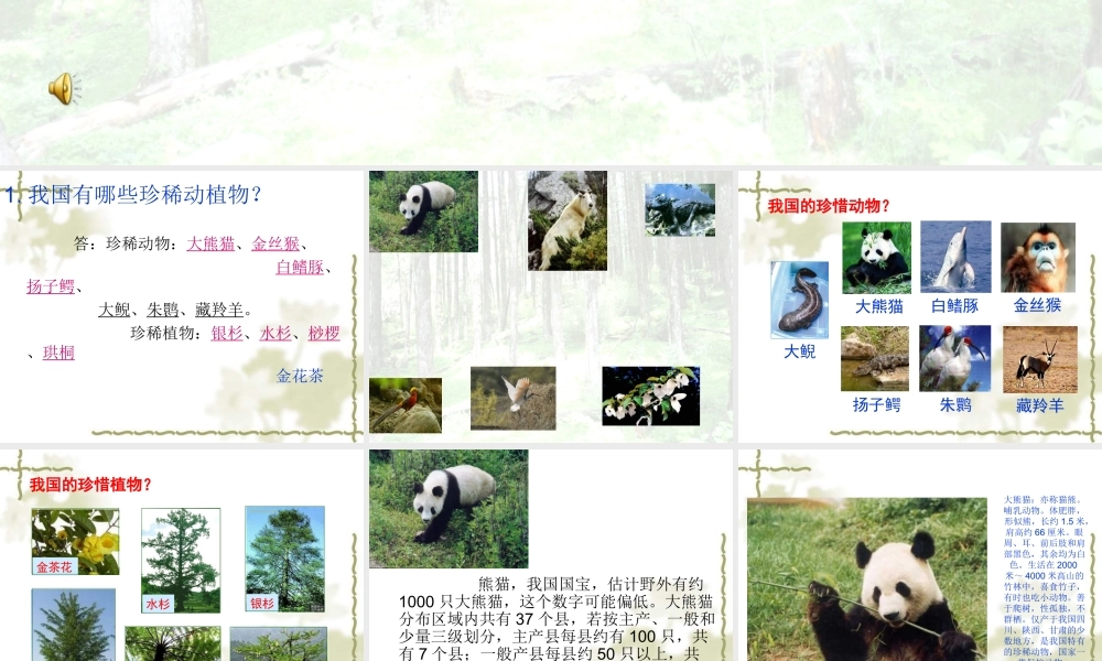 青岛小学科学四下《20 珍稀动植物》PPT课件 (5).ppt