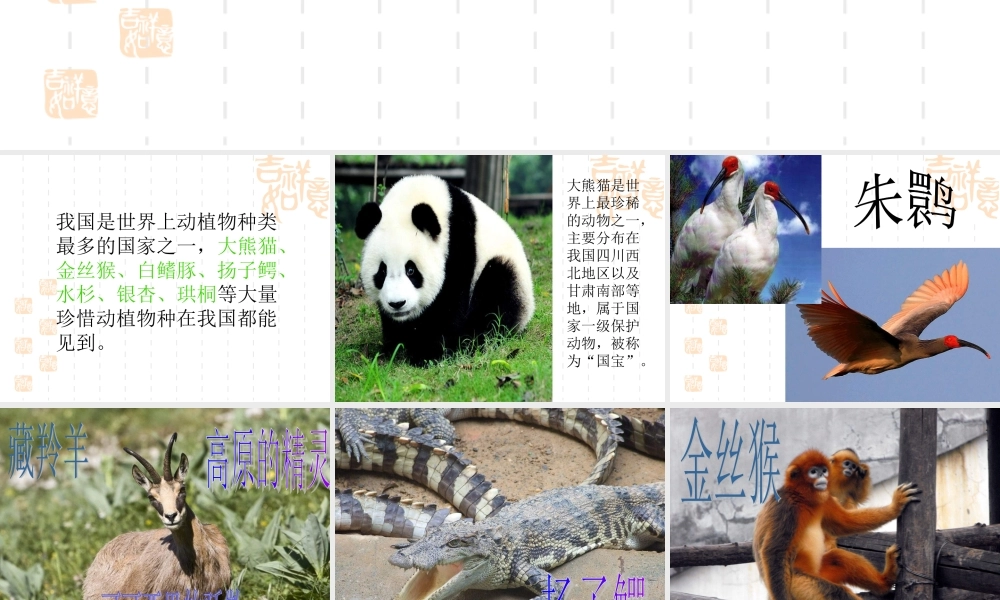 青岛小学科学四下《20 珍稀动植物》PPT课件 (6).ppt