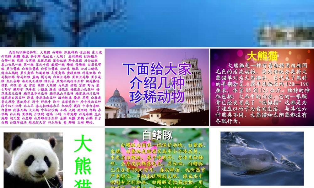 青岛小学科学四下《20 珍稀动植物》PPT课件 (4).ppt