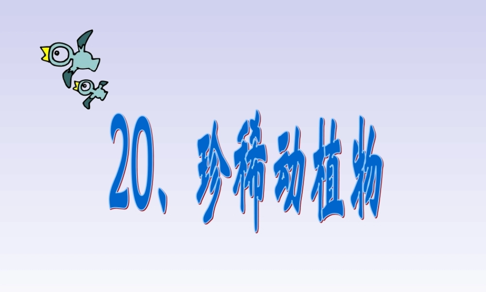 青岛小学科学四下《20 珍稀动植物》PPT课件 (2).ppt