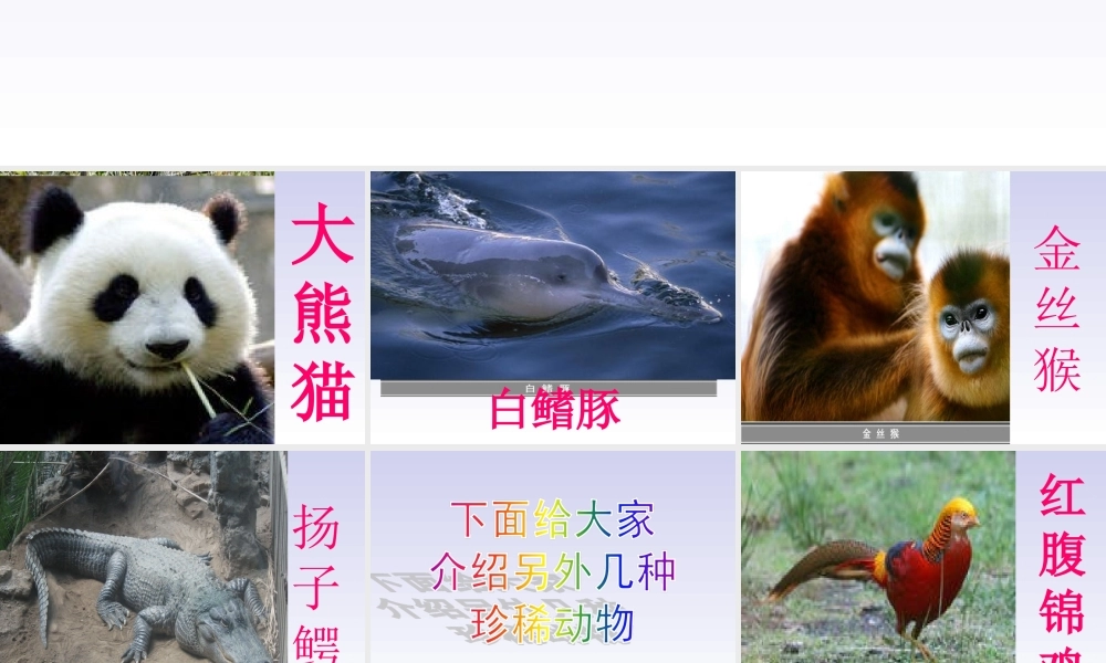 青岛小学科学四下《20 珍稀动植物》PPT课件 (2).ppt