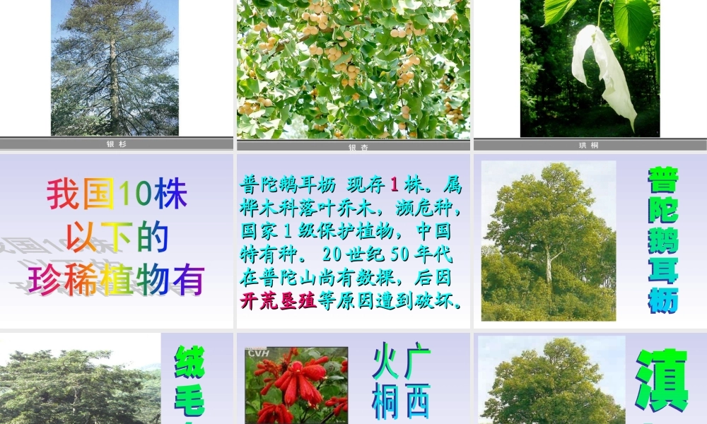 青岛小学科学四下《20 珍稀动植物》PPT课件 (2).ppt