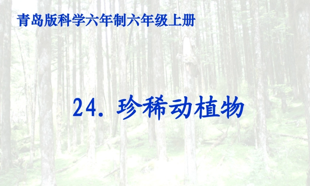 青岛小学科学四下《20 珍稀动植物》PPT课件 (10).ppt