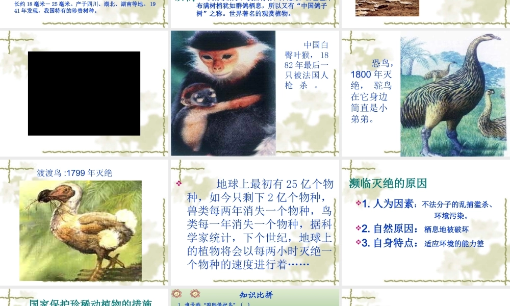 青岛小学科学四下《20 珍稀动植物》PPT课件 (10).ppt