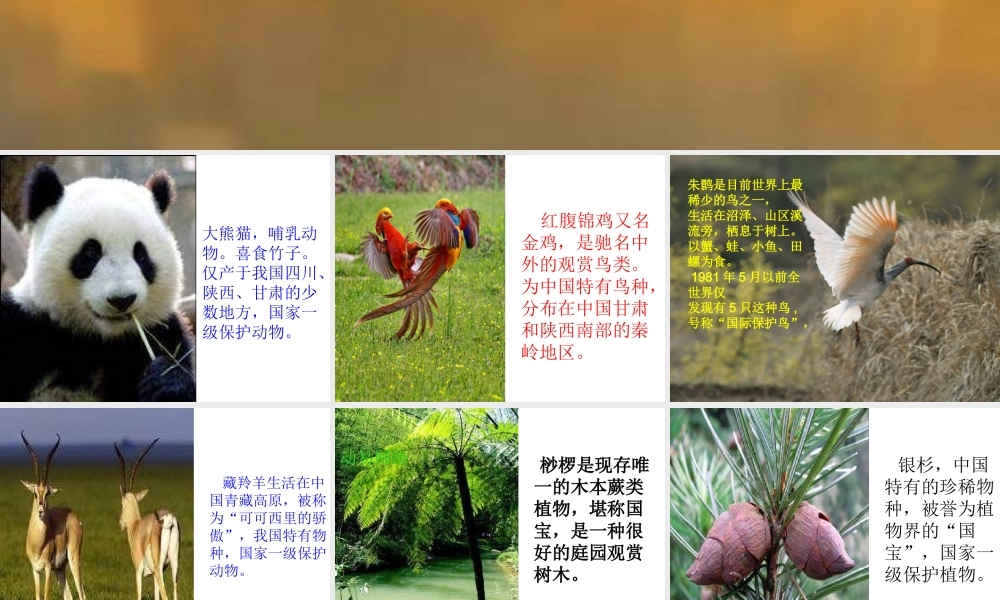 青岛小学科学四下《20 珍稀动植物》PPT课件 (8).ppt