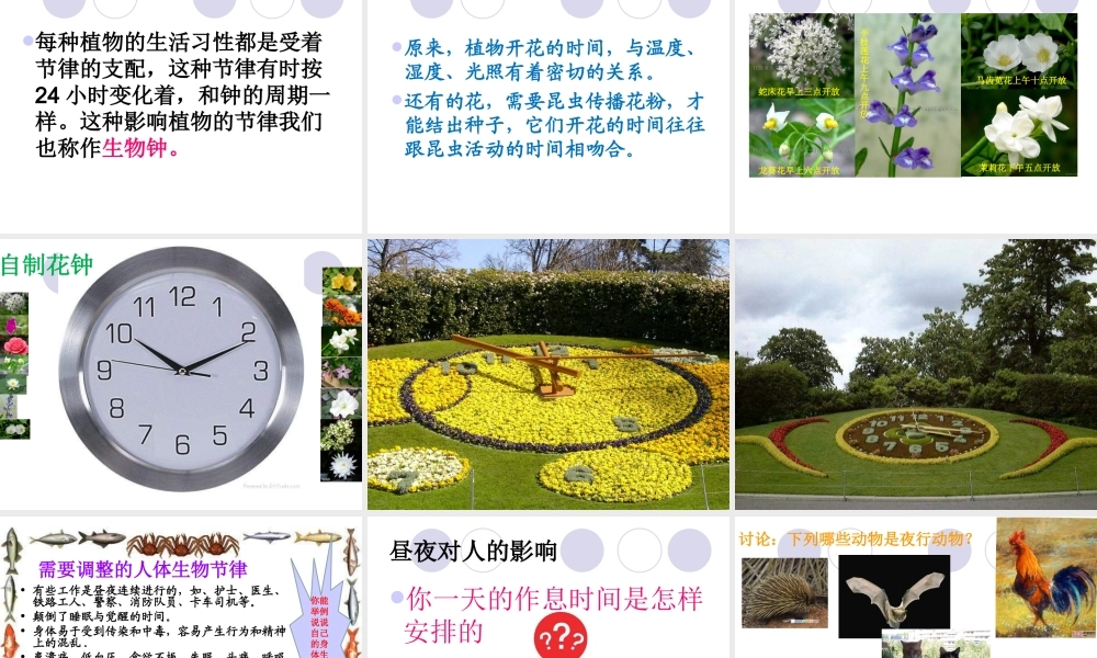 青岛小学科学四下《22 昼夜与生物》PPT课件 (1).ppt