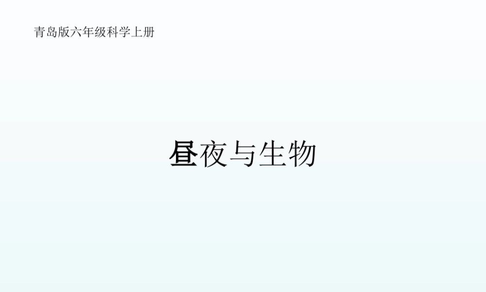 青岛小学科学四下《22 昼夜与生物》PPT课件 (10).ppt