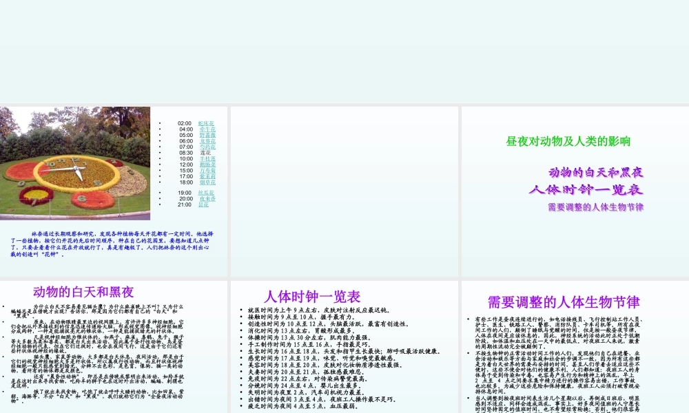 青岛小学科学四下《22 昼夜与生物》PPT课件 (10).ppt