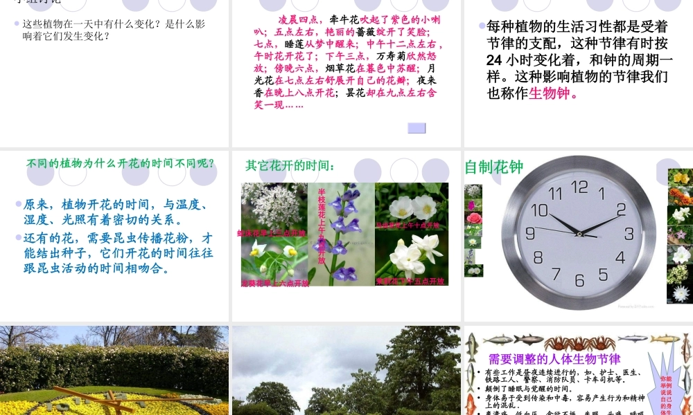 青岛小学科学四下《22 昼夜与生物》PPT课件 (6).ppt