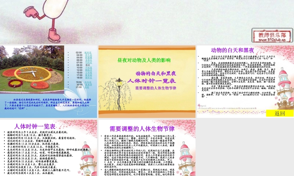 青岛小学科学四下《22 昼夜与生物》PPT课件 (4).ppt