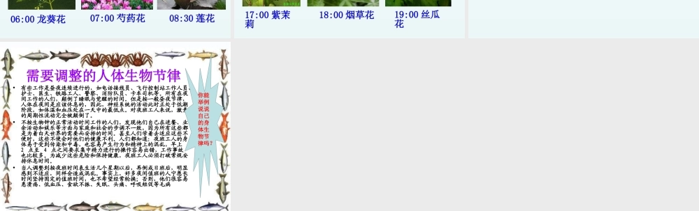 青岛小学科学四下《22 昼夜与生物》PPT课件 (2).ppt