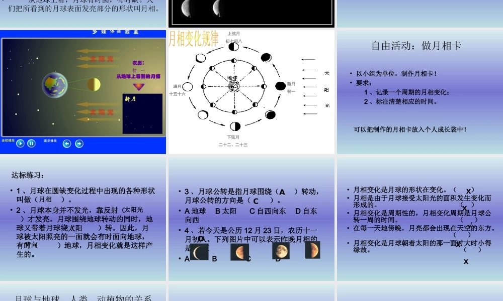 青岛小学科学四下《24 弯弯的月亮》PPT课件 (3).ppt