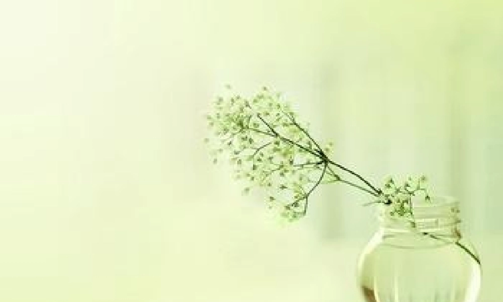 青岛小学科学四下《6 自行车胎为什么爆裂》PPT课件 (7).ppt