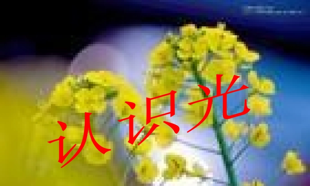 青岛小学科学四下《9 认识光》PPT课件 (10).ppt