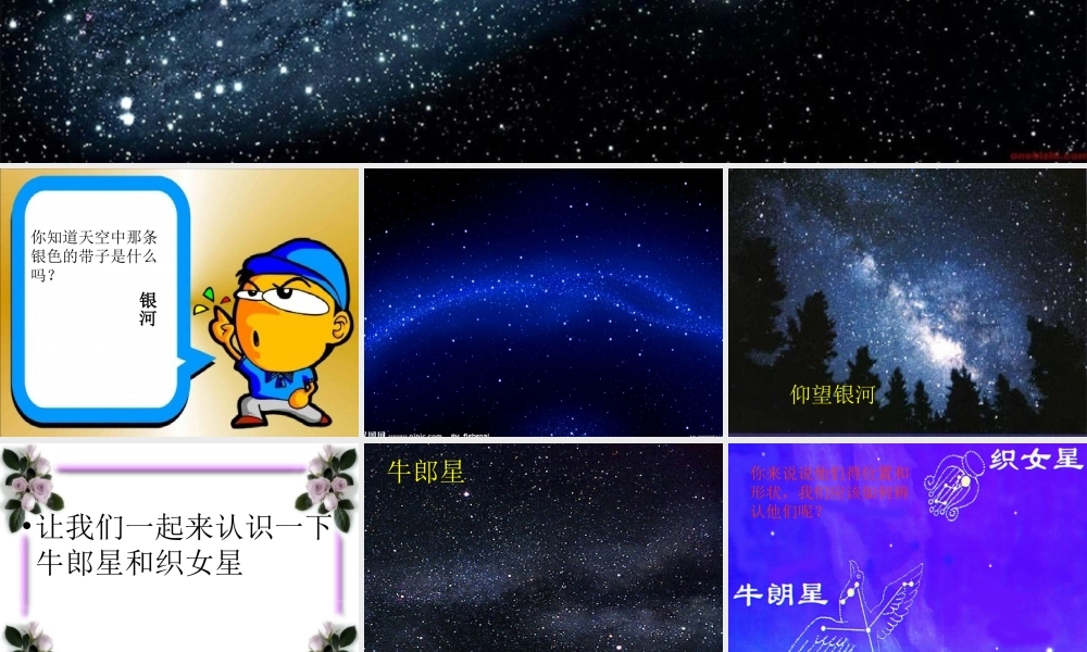青岛小学科学四下《8 夏季星空》PPT课件 (8) .ppt