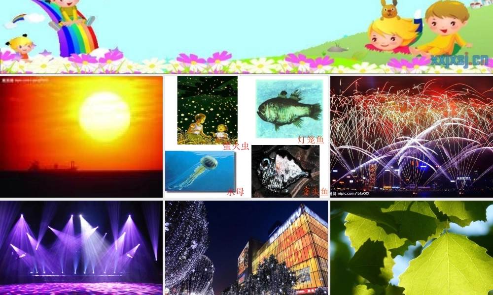 青岛小学科学四下《9 认识光》PPT课件 (9).ppt