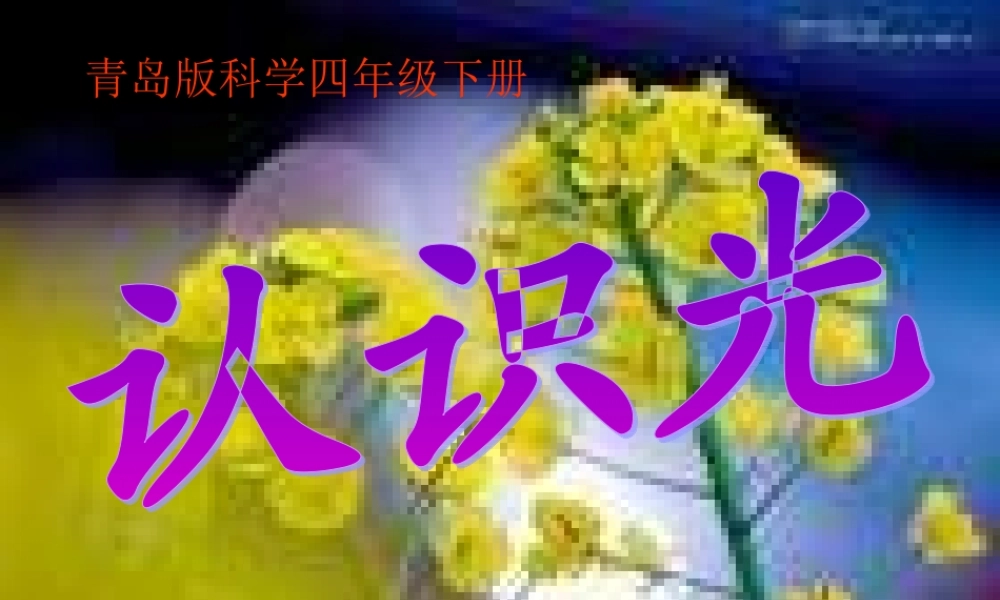 青岛小学科学四下《9 认识光》PPT课件 (6).ppt