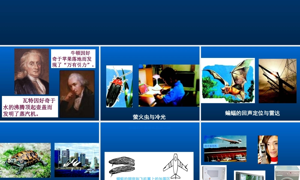 首师大小学科学三上《1.科学在我们身边》PPT课件(2) .ppt