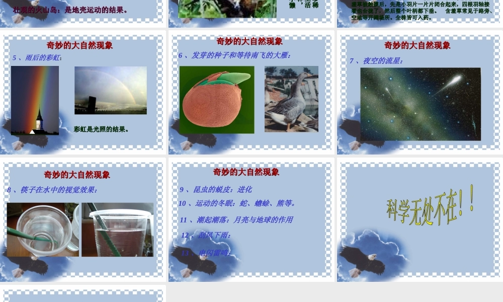 首师大小学科学三上《1.科学在我们身边》PPT课件(4) .ppt