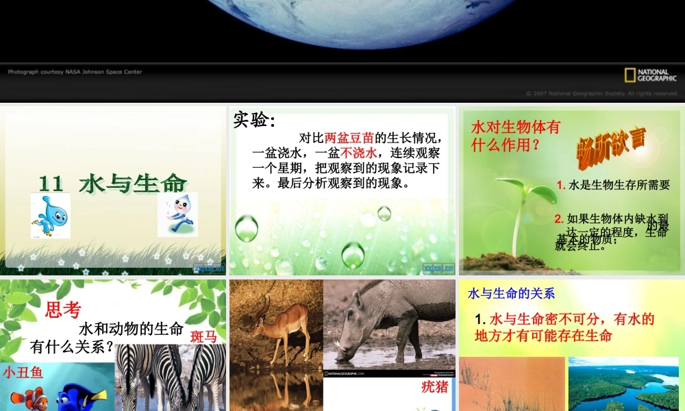 首师大小学科学三上《11.水和生命》PPT课件.ppt
