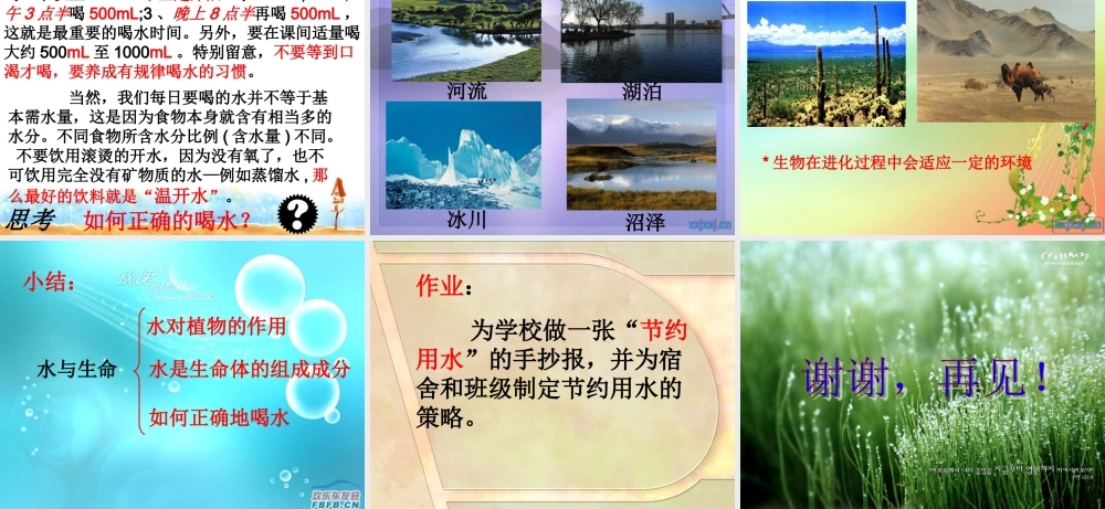 首师大小学科学三上《11.水和生命》PPT课件.ppt