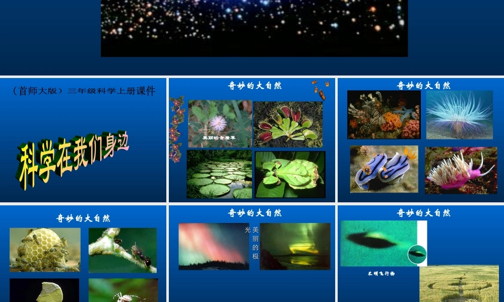 首师大小学科学三上《1.科学在我们身边》PPT课件(5) .ppt