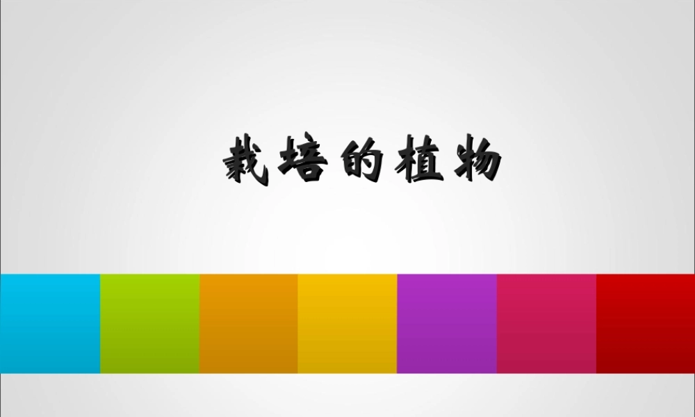 首师大小学科学三上《3.栽培的植物》PPT课件.ppt