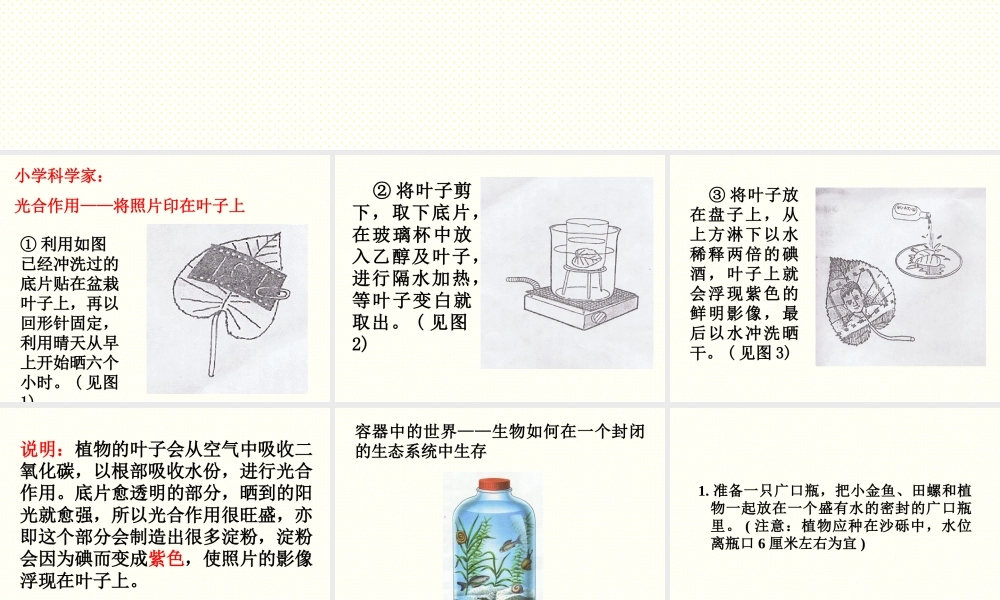 首师大小学科学三上《15.空气和生命》PPT课件.ppt